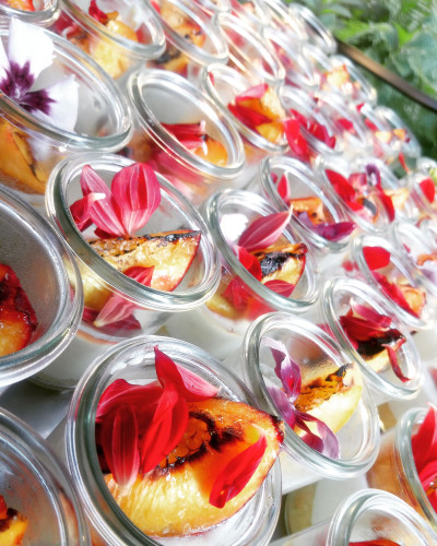 Desserts im Glas, dekoriert mit Blüten
